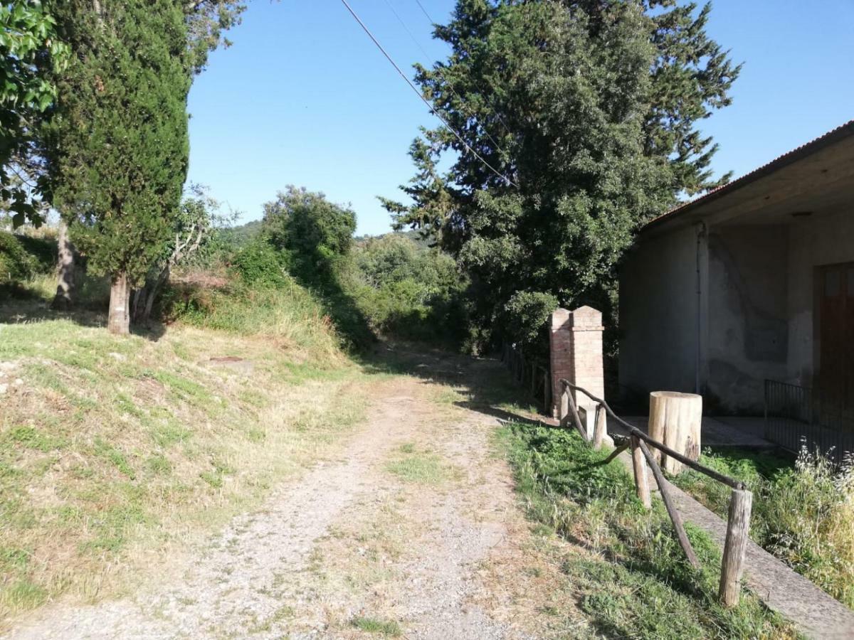 Il Fienile Nella Roccia Guest House Casole d'Elsa Bagian luar foto