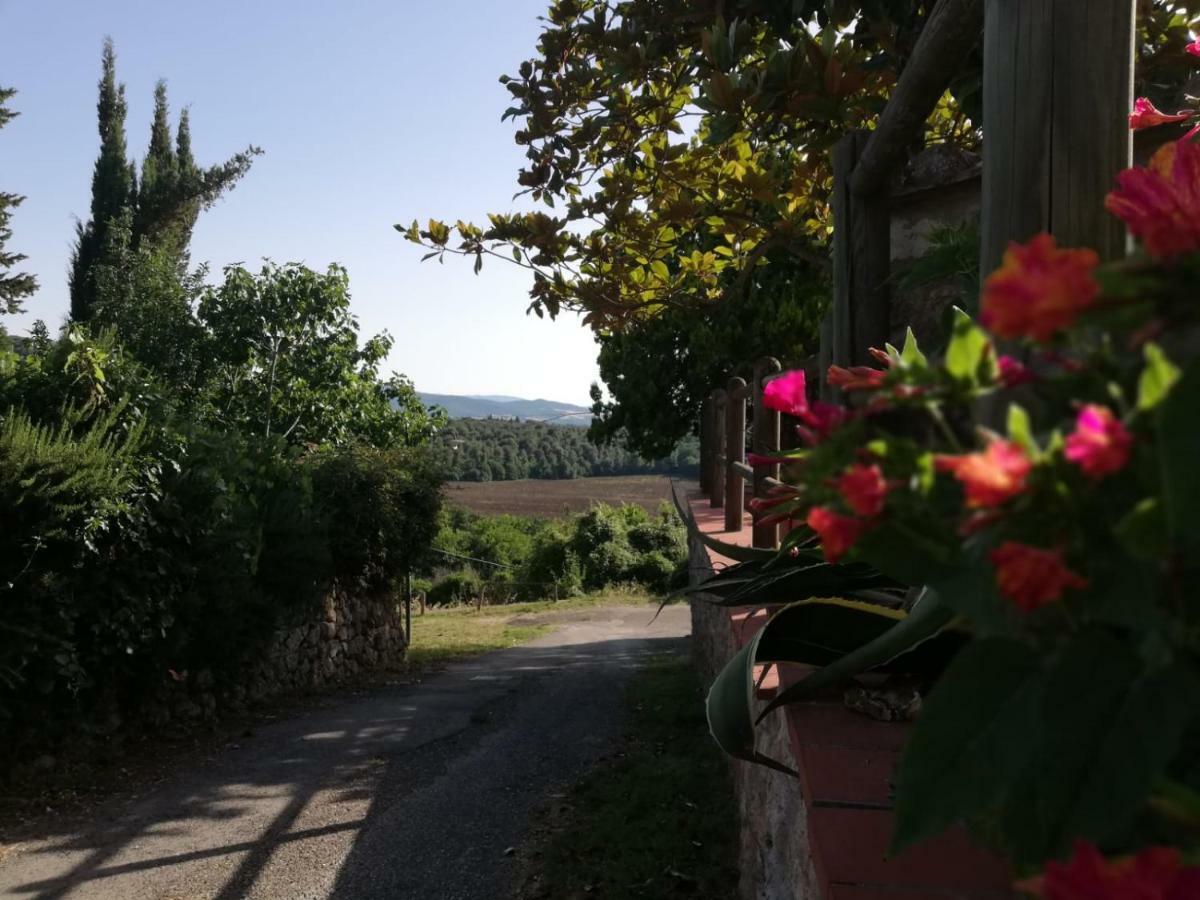 Il Fienile Nella Roccia Guest House Casole d'Elsa Bagian luar foto