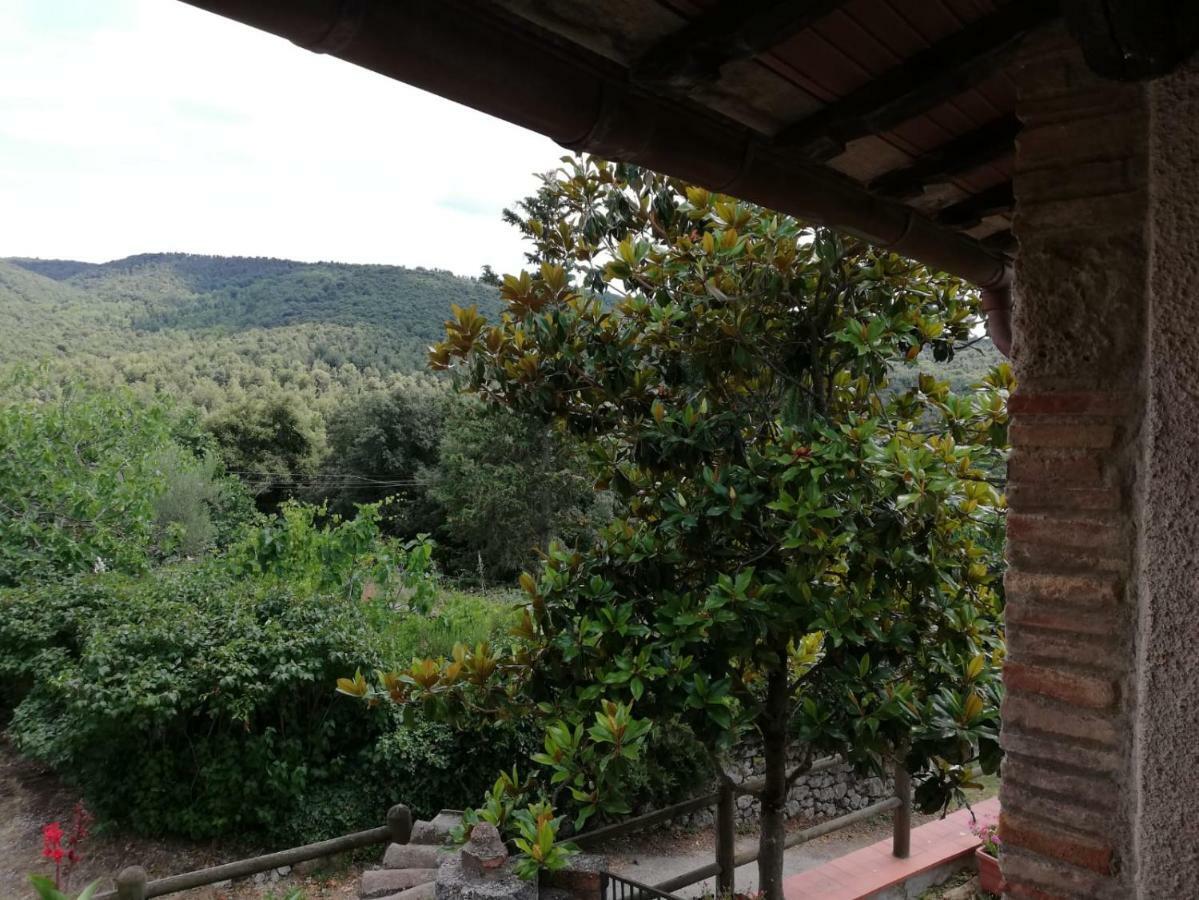 Il Fienile Nella Roccia Guest House Casole d'Elsa Bagian luar foto
