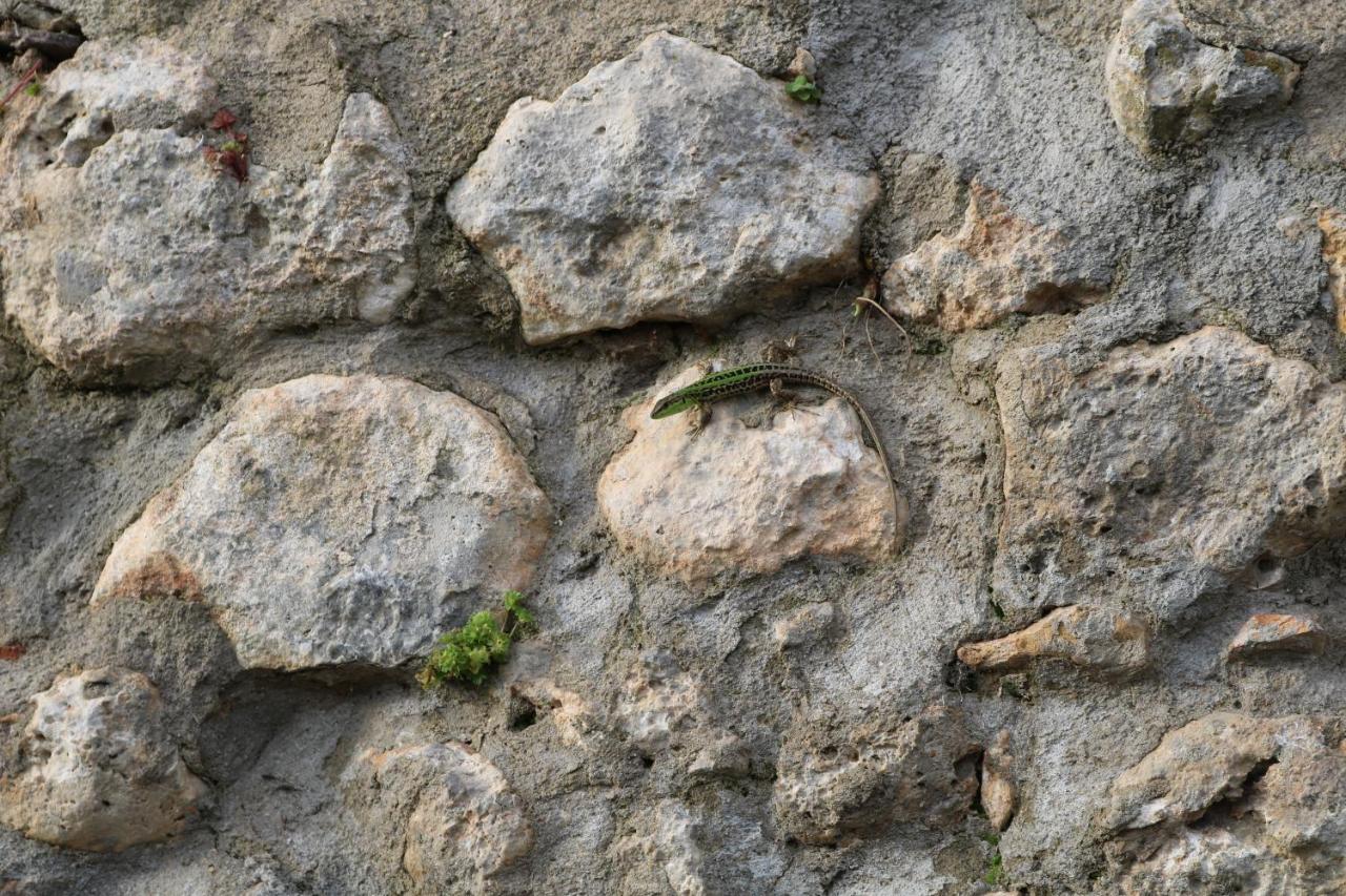 Il Fienile Nella Roccia Guest House Casole d'Elsa Bagian luar foto